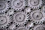 White Lace Crochet…Renda Putih Yang Romantis.